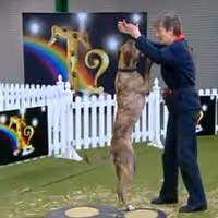 STAGE TUBE: OVER THE RAINBOW - Week 2 - Search for Toto